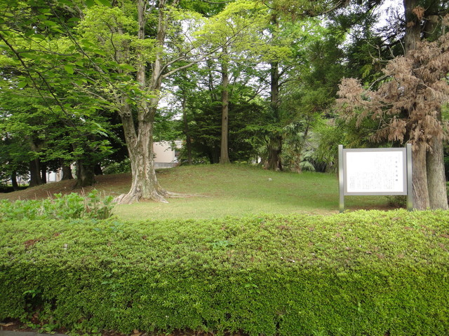 DSC01056.JPG