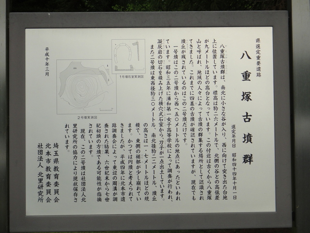 DSC01054.JPG