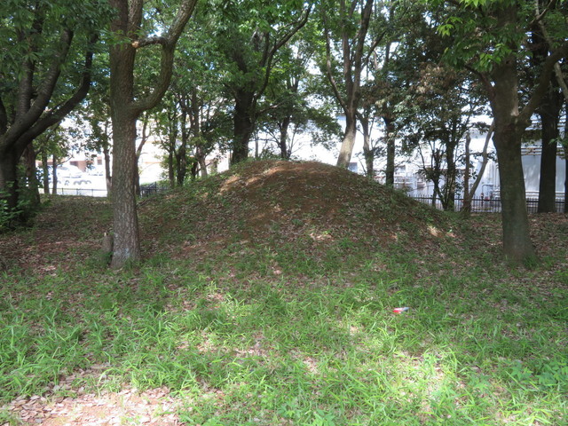 IMG_0977.JPG