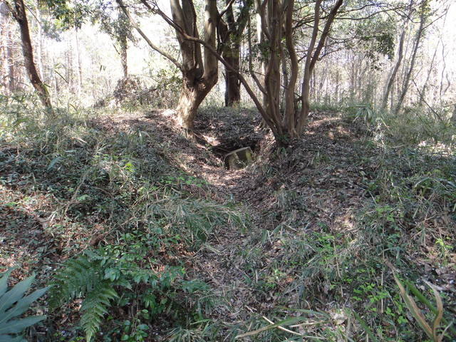 DSC00923.JPG