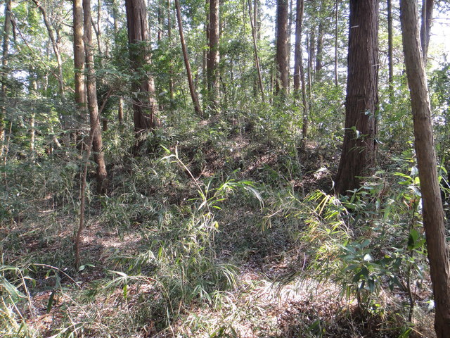 DSC00970.JPG