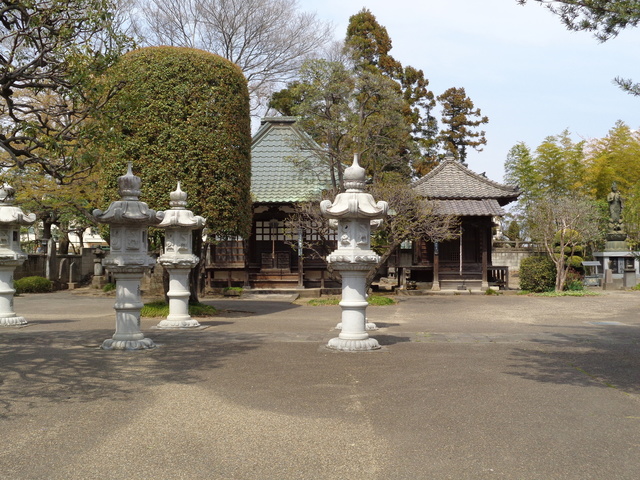 DSC00701.JPG