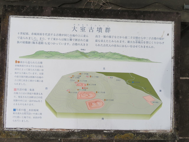 IMG_9927.JPG