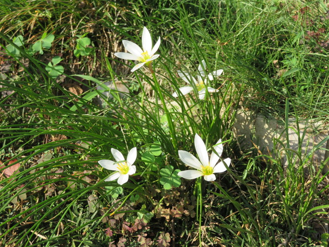 IMG_0744.JPG