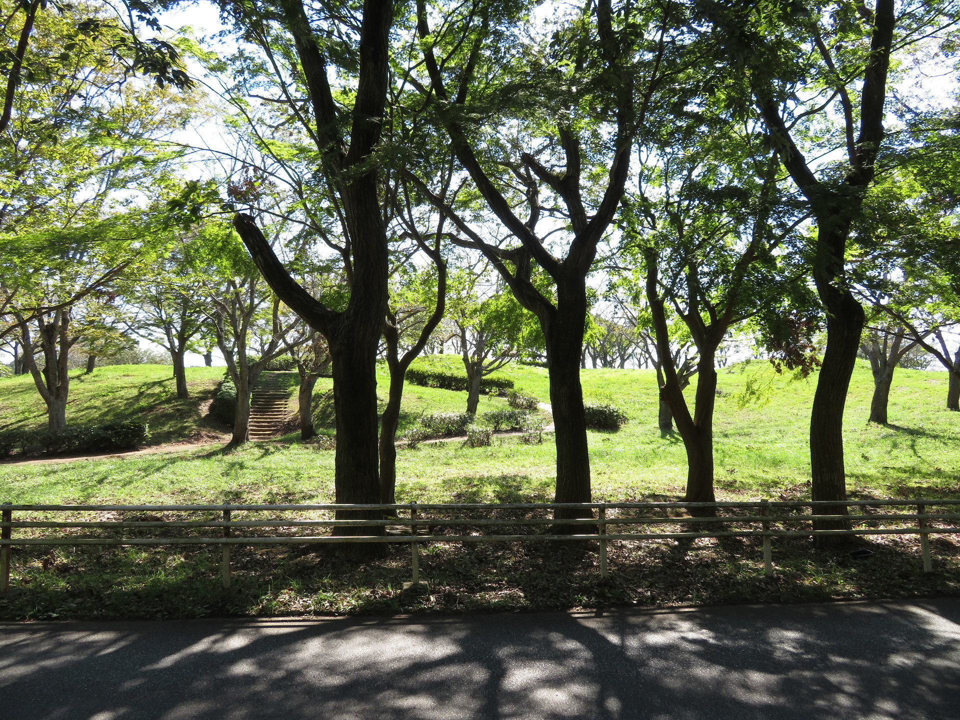 成田市 外小代地区公園の古墳 公津原古墳群八代支群 怠け者の散歩道２