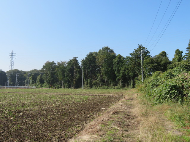 IMG_5191.JPG