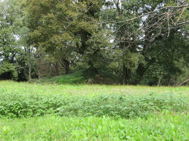 IMG_5638.JPG
