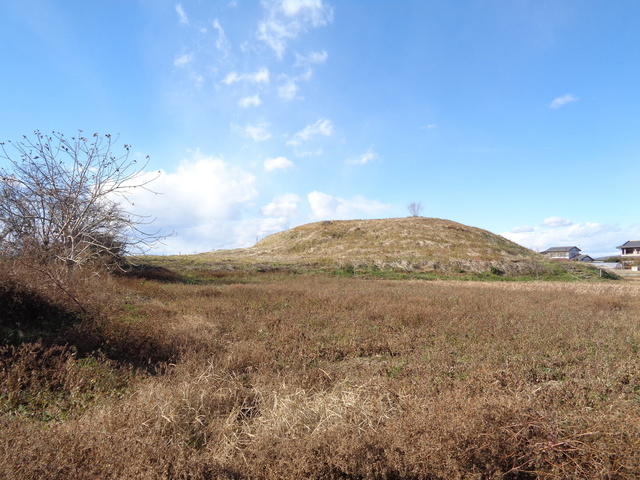 DSC01078.JPG