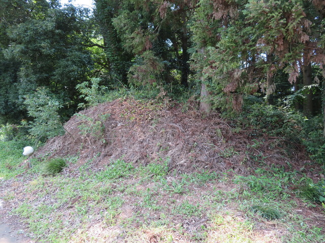 IMG_4496.JPG