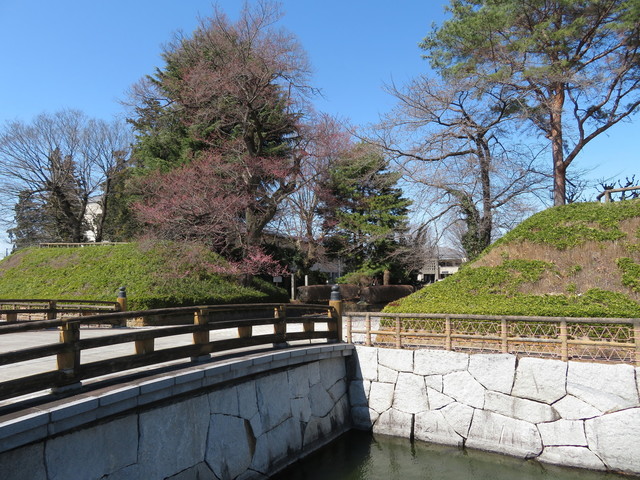 IMG_4998.JPG