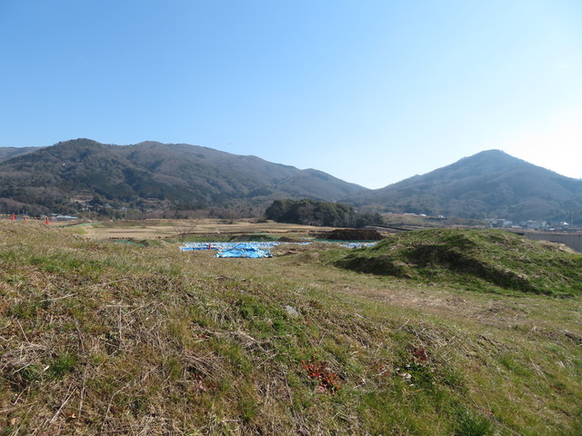 IMG_8014.JPG