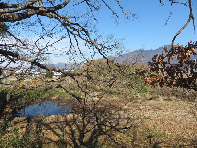 IMG_8011.JPG