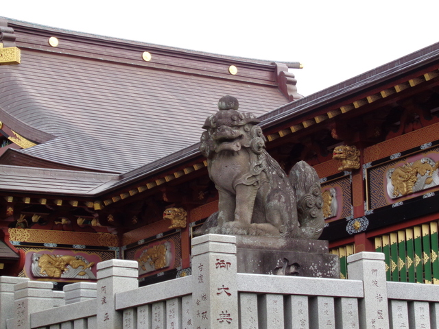 DSC08804.JPG