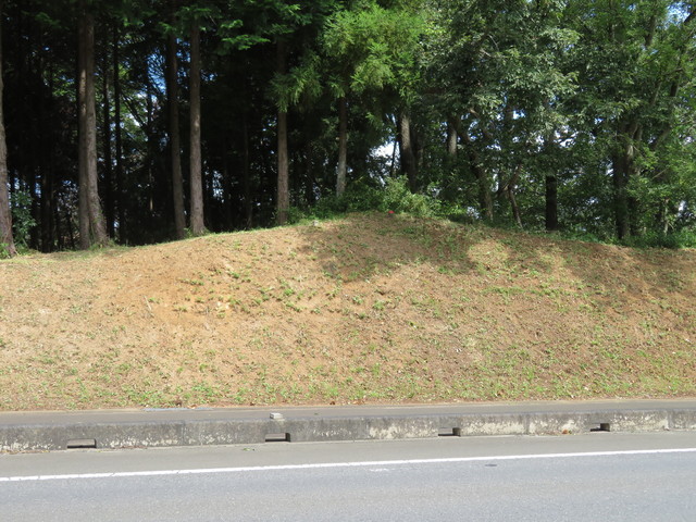 IMG_8097.JPG