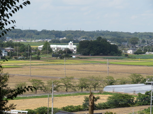 IMG_8437.JPG