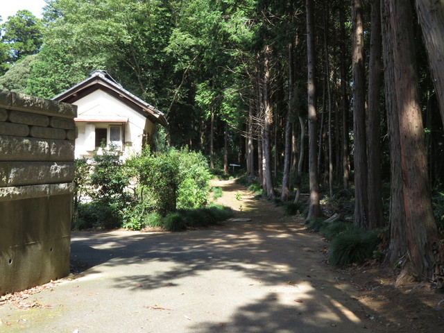 IMG_9941.JPG