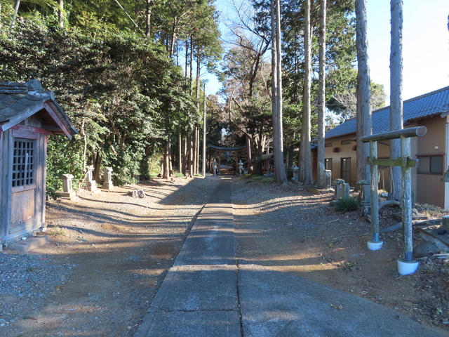 IMG_8551.JPG