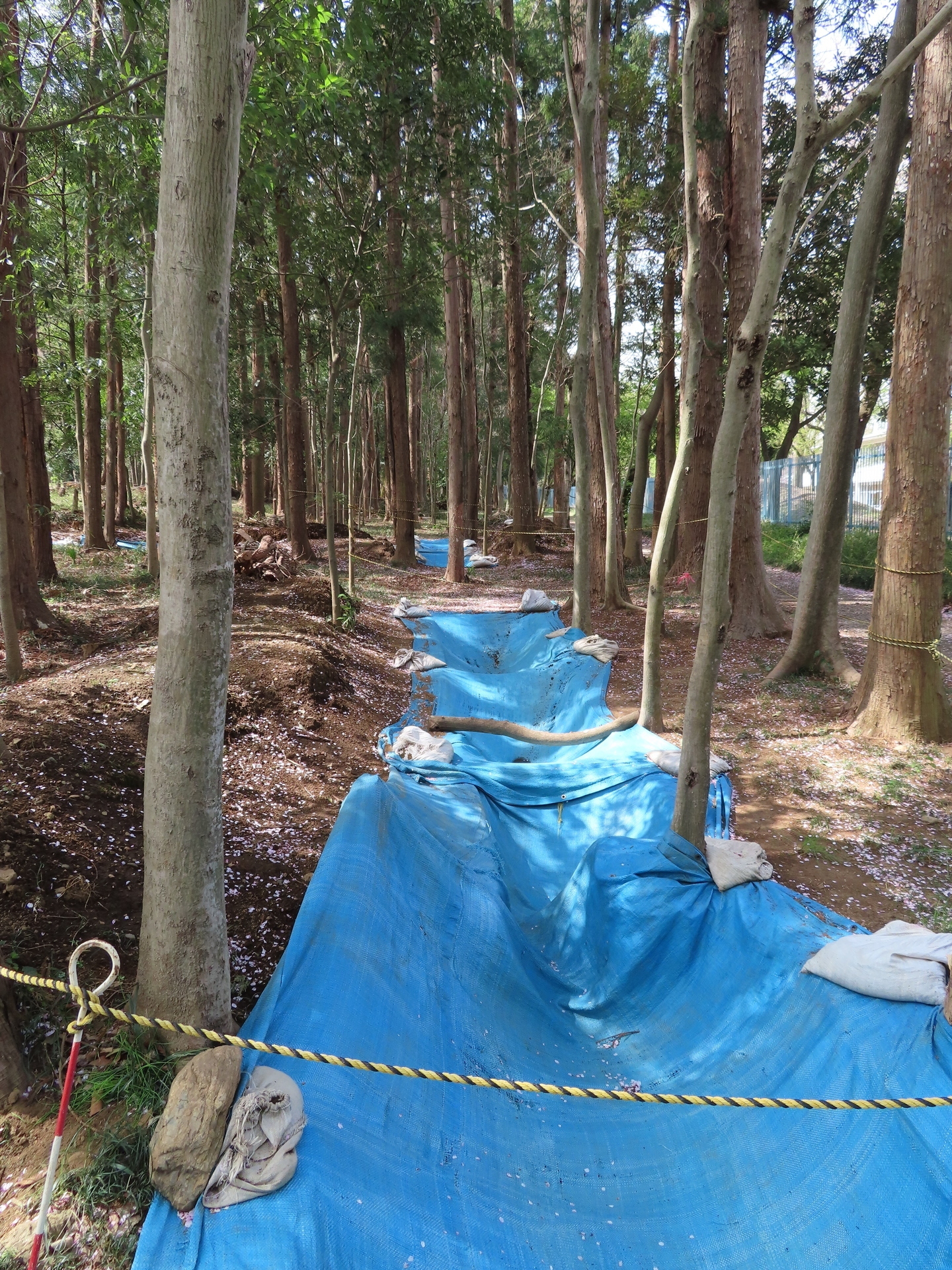 昭和20年代後半？[毛呂山町観光案内観光絵地図]川角村編入前の