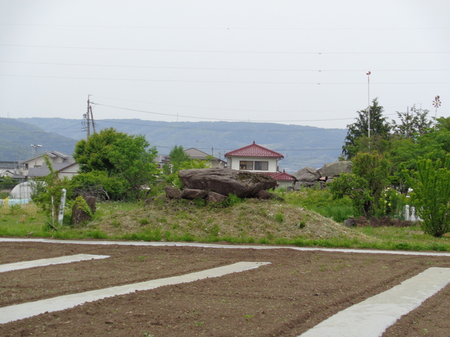 DSC02353.JPG