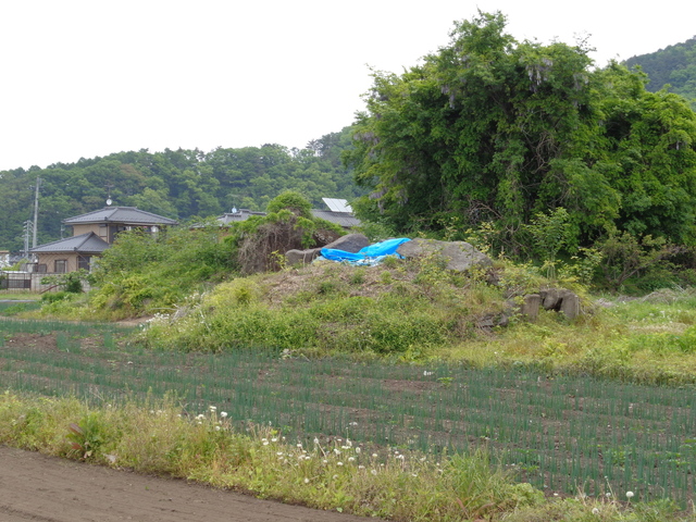 DSC02454.JPG
