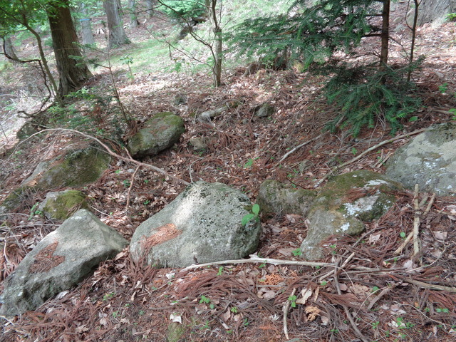 DSC02573.JPG