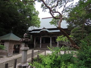 IMG_0039.JPG