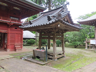 IMG_0041.JPG