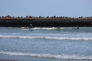surfing