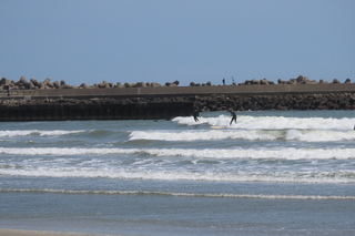 surfing