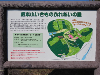 IMG_1261.JPG