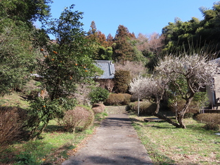 IMG_1284.JPG