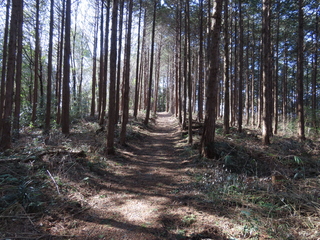 IMG_1315.JPG