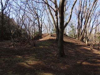 IMG_1349.JPG