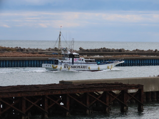 IMG_1385.JPG