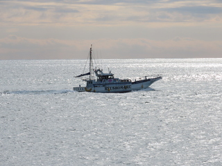 IMG_1390.JPG