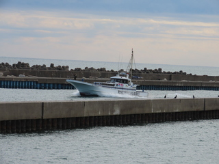 IMG_1411.JPG