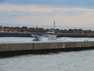 IMG_1413.JPG