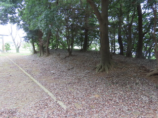 IMG_1428.JPG