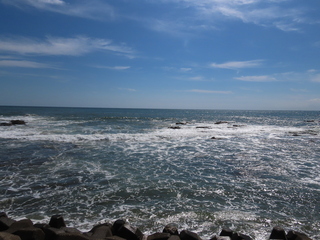 IMG_1465.JPG