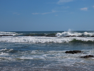 IMG_1477.JPG