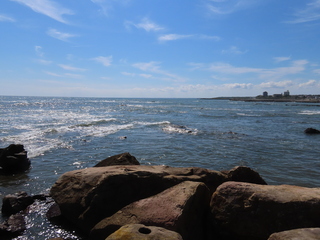 IMG_1495.JPG