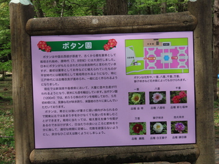 IMG_1505.JPG
