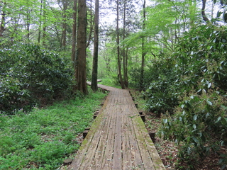 IMG_1522.JPG