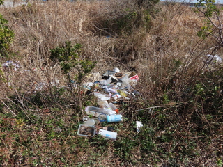 illegal dumping