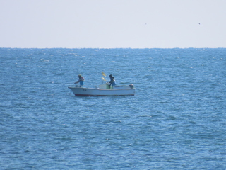fishing