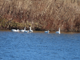 IMG_1658.JPG