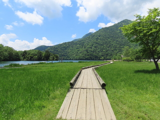 boardwalk