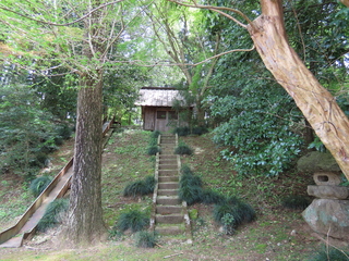 IMG_1678.JPG