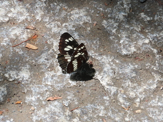 IMG_1741.JPG