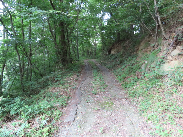 IMG_1747.JPG